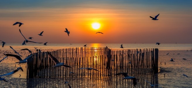 Wastage of Youth in India Due To Social System Chirag Thakkar